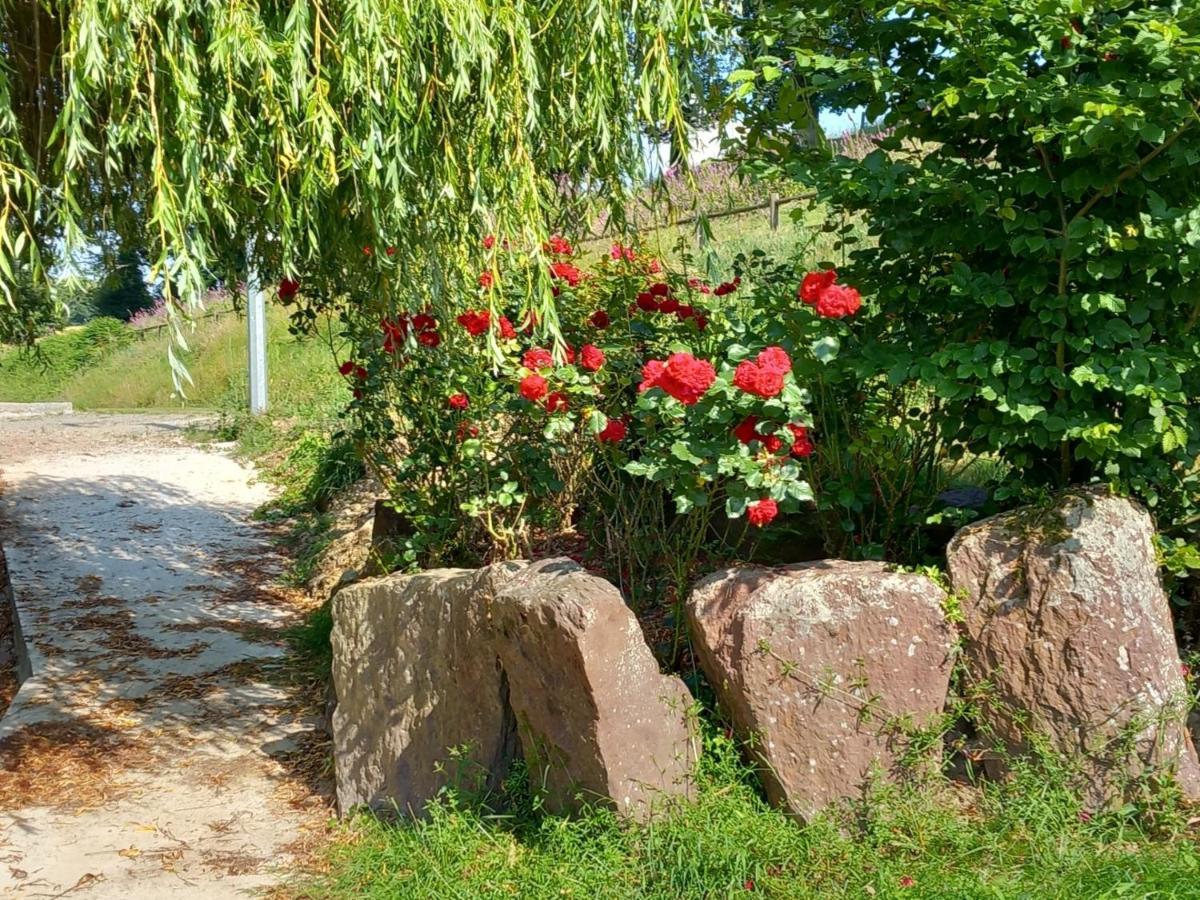 Saint-Malon-sur-Mel A La Memoire De Merlin & Spa מראה חיצוני תמונה