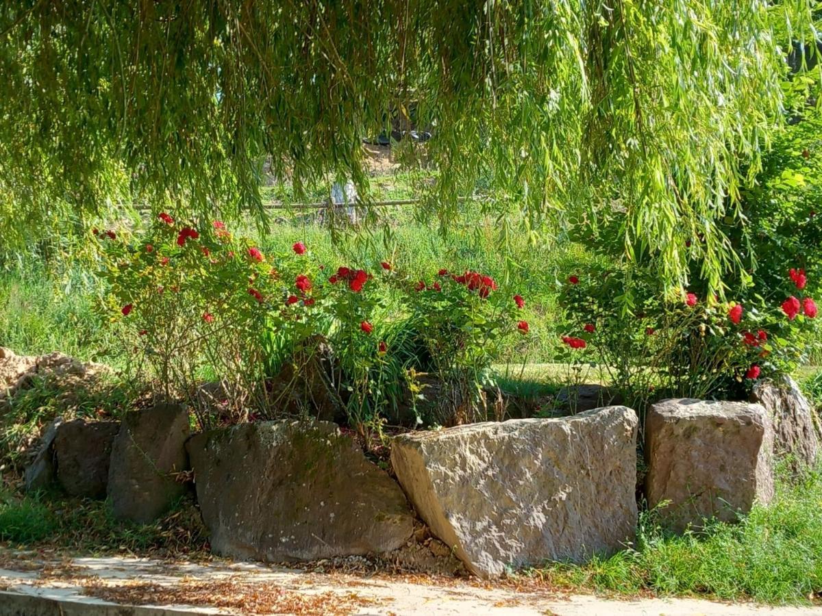 Saint-Malon-sur-Mel A La Memoire De Merlin & Spa מראה חיצוני תמונה
